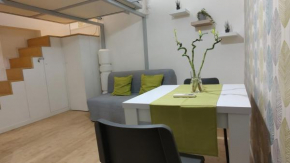 Nice studio in Trastevere